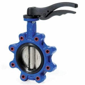 Van bướm Valftek - butterfly valve